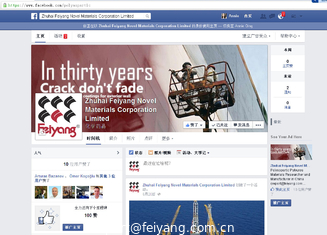 Chine Page limitée de Zhuhai Feiyang Novel Materials Corporation Facebook fournisseur